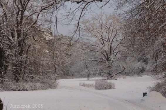 DSC05568 DSC05568
