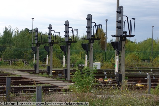 Im Hintergrund: die von der aktiven Bahnanlage abgetrennte Gleisanlage mit Grünbewuchs (2011)
