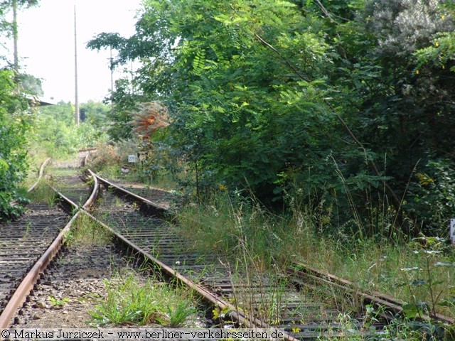 berfahrt zum Bahnhof Kaulsdorf (Eisenbahn, Streckennetz DB Netz)